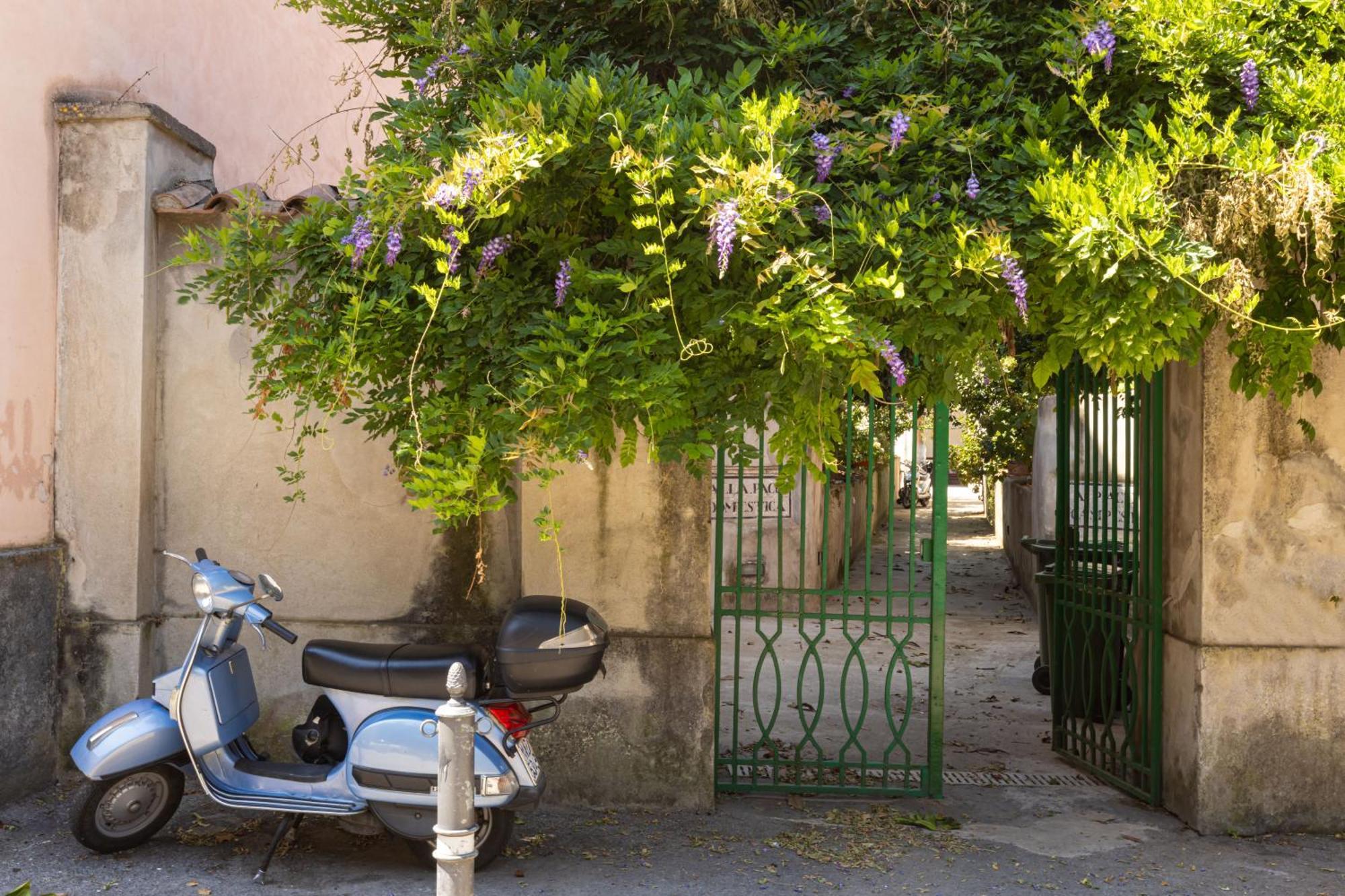Maison Rosetta Sant'Agnello Εξωτερικό φωτογραφία
