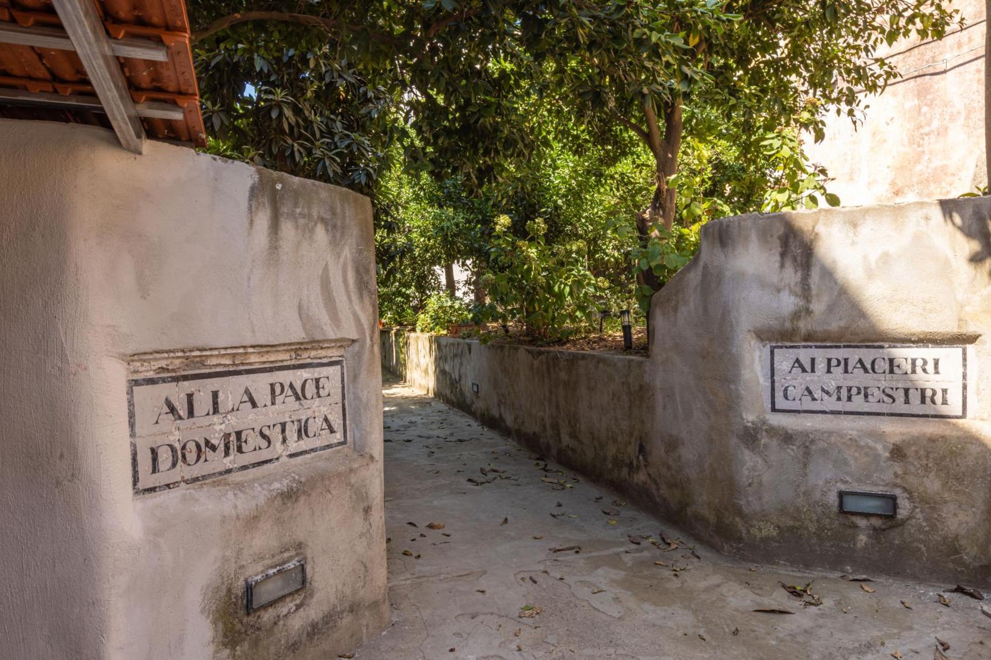 Maison Rosetta Sant'Agnello Εξωτερικό φωτογραφία